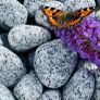 Marble chips, grave stones, chips, pebbles, pearl Image 10