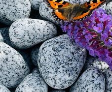 Marble chips, grave stones, chips, pebbles, pearl
