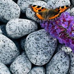 Marble chips, grave stones, chips, pebbles, pearl
