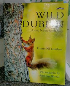 WILD DUBLIN 184 page Hardback by Eanna Ni Lamhna 6 euro