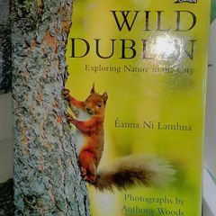 WILD DUBLIN 184 page Hardback by Eanna Ni Lamhna 6 euro