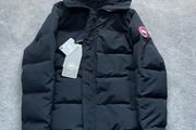 canada goose