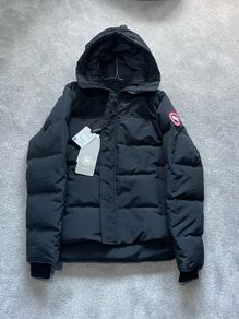 canada goose