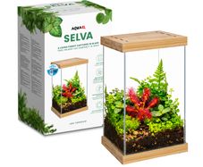 Aquael Selva Mini Terrarium