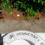 Ashtrays etc Image 6
