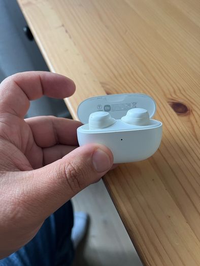 Earphones