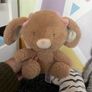 teddys Image 2