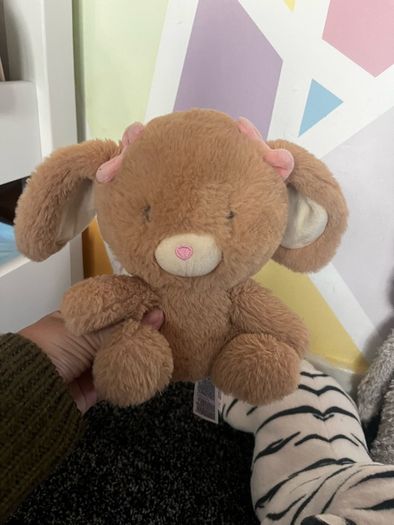 teddys