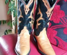 Cowboy Boots