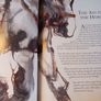 Aesop's Fables / Alice Shirley / 1st edition/ 2009 Image 10