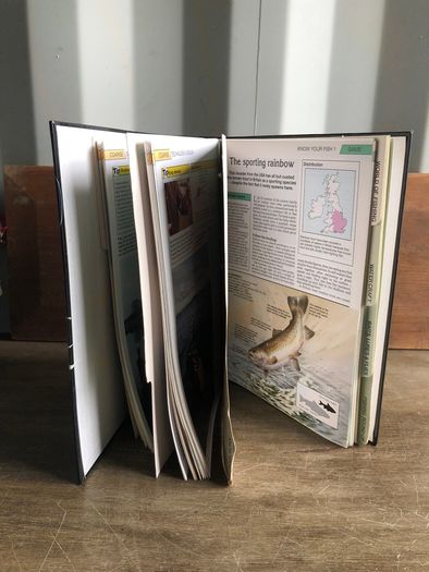 The Art of Fishing Magazine Collection