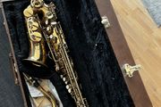 Artemis Alto Saxophone with Hard Case