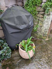 2 large Terracotta pots