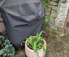 2 large Terracotta pots