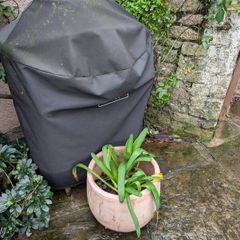 2 large Terracotta pots