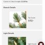 Christmas tree Image 3
