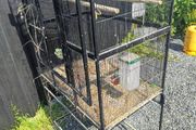 Large bird cage