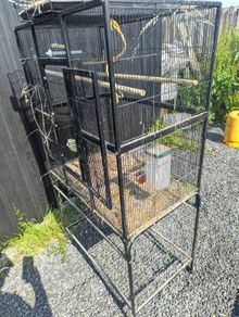 Large bird cage