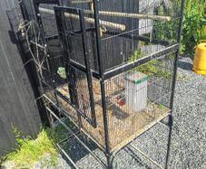 Large bird cage
