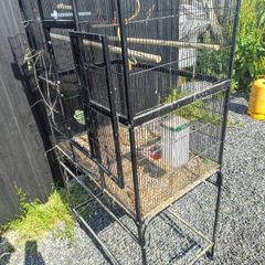 Large bird cage