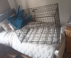 dog kennel