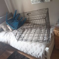 dog kennel