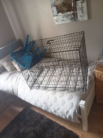 dog kennel