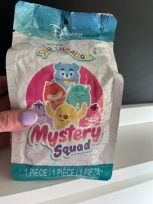 Mystery Squishmallow