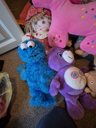 Bag of teddy bears