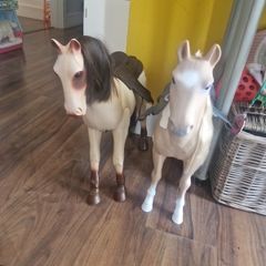 MyGeneration horses