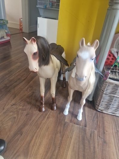 MyGeneration horses
