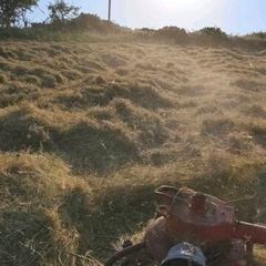 Square bale hay