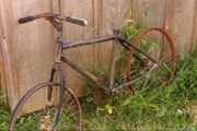 Classic and honest bicycle for trek or casual?