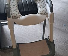 Toilet seat with steps