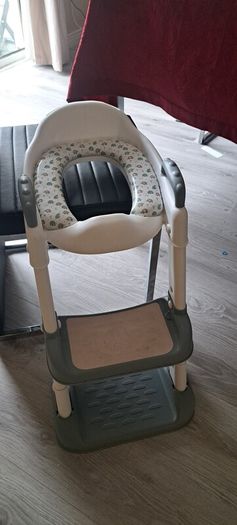 Toilet seat with steps