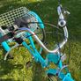 Trike Adult Image 2