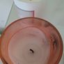 Free candle Image 4