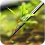Aqua Pro Tweezers Straight | Long Version Image 4