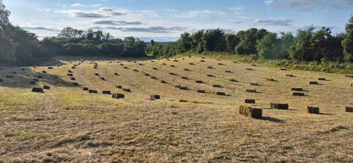 Small square bales of hay