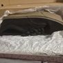 men's vans trainers Image 2