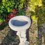 Large Bird Bath - New - 85 Image 4