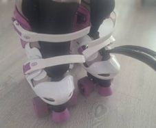 Rollar Skatee