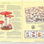 1994 Jersey (Channel Islands) Stamp Year Book (softback) issued by Jersey Post with 16 images of contents Image 5
