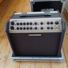 Fishmann Loudbox amp and fitted Thon Flight case