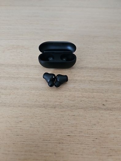 Beats Solo Buds