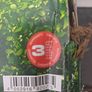 Hedge Trimmer Extendable Image 3