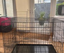 Large dog cage