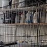 Dog crate folding with tray: Large-Savic Image 9
