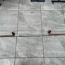 Gym equipment Image 10