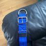 Strong dog collars Image 3